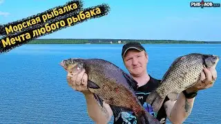 Ловим карася на Волге. Пуфы спасли рыбалку. Секреты ловли карася летом! Как поймать рыбу в жару.