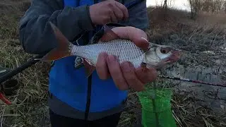 Рыбалка с поплавочной удочкой ранней весной на реке