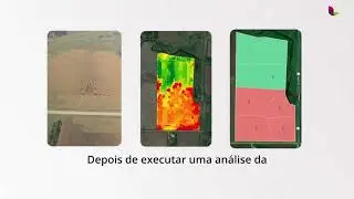 AGRONOMIA PREDITIVA LAVORO E PATTERN AG: Análise de Solo Prevê Riscos de Pragas e Doenças