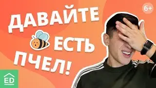 Трудности перевода или как переводить не надо. Изучение английского языка | EnglishDom