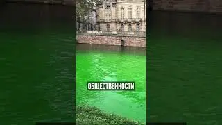 Во Франции экоактивисты перекрасили воду в фонтанах и каналах в зеленый цвет