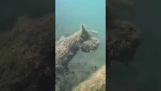 Человек может не дышать под водой! 