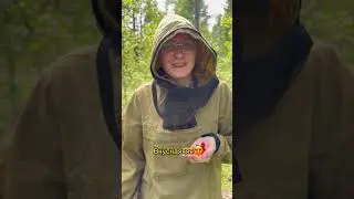 Самое сложное хобби 🥵 #хоббитест #лес #природа