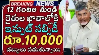 ఏపీ రైతులకు మరి కాసేపట్లో ఇన్పుట్ సబ్సిడీ ఎకరానికి10000 జమ|input subsidy payment status|annadata