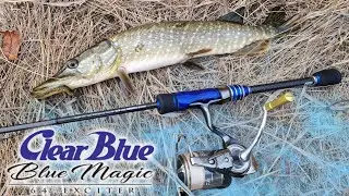 Спиннинг ТОП! Щука и окунь осенью с Clear Blue Blue Magic 64-Exciter 💙