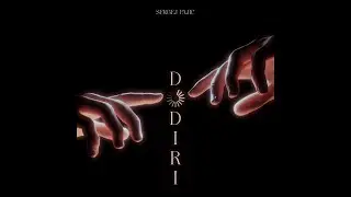 SERGEJ PAJIC - DODIRI (Official Visualizer)
