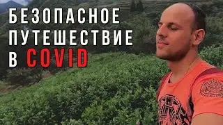 Путешествие без covid 19  чайные плантации