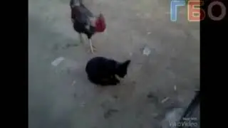 Прикол фу фу делаль