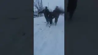 Синька