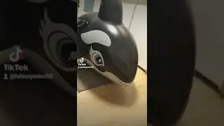 #orca