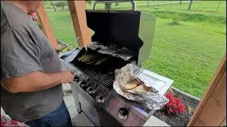 Grilling in an HouR