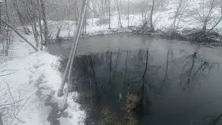 Королишка розкидала кролинят, зариблена копанка.