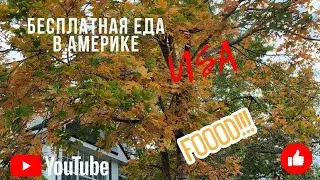 Бесплатная еда в Америке. /11 Food bank. Шарлотт.