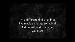 Different Kind of Animal Citizen Soldier Lyric Video