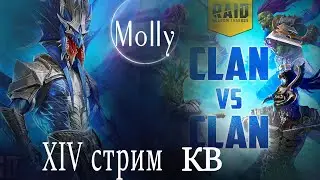 Molly Стрим XIV Клановый турнир Раманту  Raid: Shadow Legends