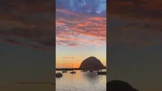 5 Fun Things to Do in Morro Bay, California #shorts #travel