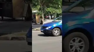 грустный наглый голубь саншайн