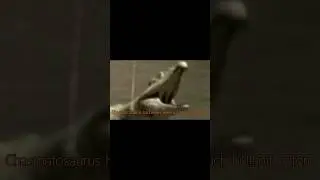 Chasmatosaurus Had Never Seen Such BS Before