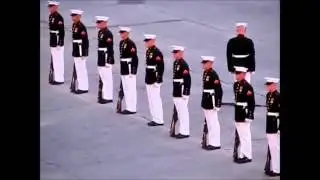 Приключения ружья в почётном карауле )))