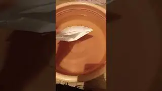 запускаю кораблик