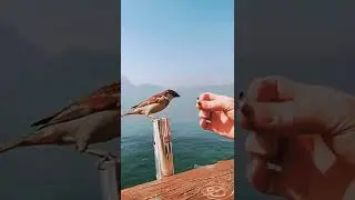 #nature4k #beautiful ✨nature video#letest video