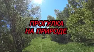 Прогулка на природе