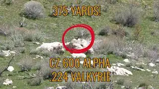 New CZ Model 600 Alpha .224 Valkyrie - Rockchuck Hunting  