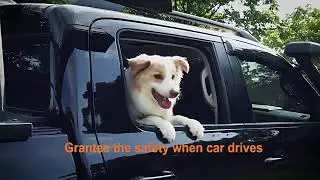 Adjustable Dog Car Safety Seat Belt & Leash