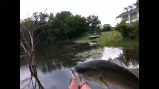 Early Summer Bass Fishing: 2