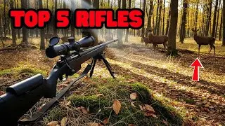 Top 5 Best Deer Hunting Rifles of 2025 (For Every Budget)