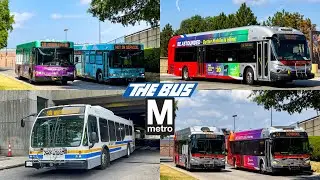 WMATA and Prince George's County Transit TheBus Compilation at Hyattsville Crossing July 2024