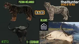THE HUNTER CALL OF THE WILD #273 FOURRURES RARES SUR LE TIGRE DU BENGALE ET BUFFLE 9 LÉGENDAIRE