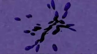 Klasky Csupo in fat X Effect Powers