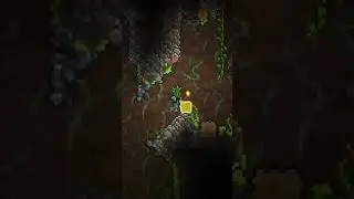 b o u l d e r #terraria #terrariamemes  #gaming #terrariagameplay