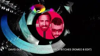 David Guetta, Don Diablo - Sexy Back Bitches (Romeo B Edit)
