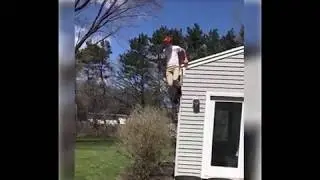 Scorpion KING of the week // Funny fail HD 2017