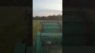 Сенокос 2023.