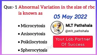 Lab Technician MCQs:-20 🎯 Medical Lab Technician Course Vaccancy 🩺 DMLT Course💉MLT Pathshala Status