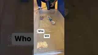 Classroom fun: Who will save the monsters?
