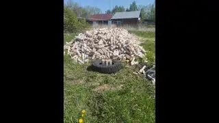 Моя первая трансляция