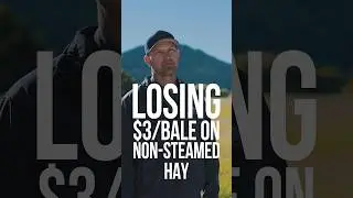 Losing $3 a Bale on Non-Steamed Hay
