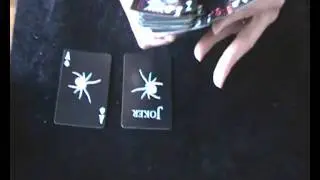 11-REVIEW BLACK  SPIDER DECK