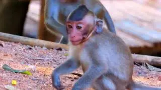 Baby Cute mom Walk away crying alone