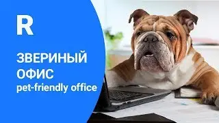 Работа с животными. Pet Friendly офис