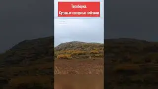 Териберка. Суровые северные пейзажи