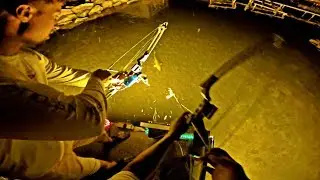 Bow Fishing FAT Carp at Night! - Bow Fishing 2019