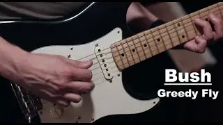 Cover Song Party: Bush - "Greedy Fly"