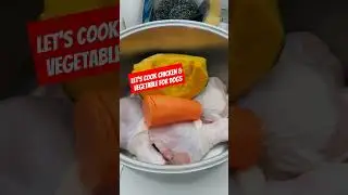 Healthy food for Dogs #shortsvideo #trending #dog #doglovers #maomao