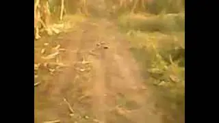 Щас я кину цей кавун