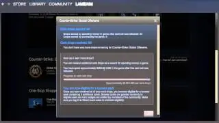 CS:GO Tutorial See how much you spent on CS:GO